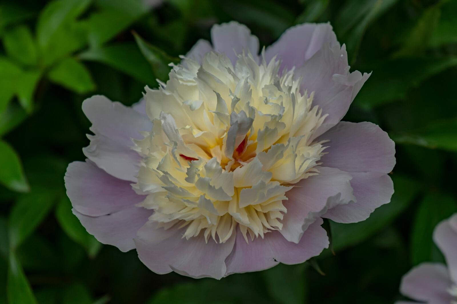 274 Front Street Richmond, ME 04357 - Photo 94 of 98 cd9bf4a7-b36e-4721-93a3-cdb14e99903e