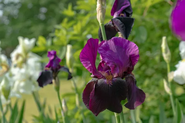 $599,000 | 274 Front Street, Richmond, ME 04357