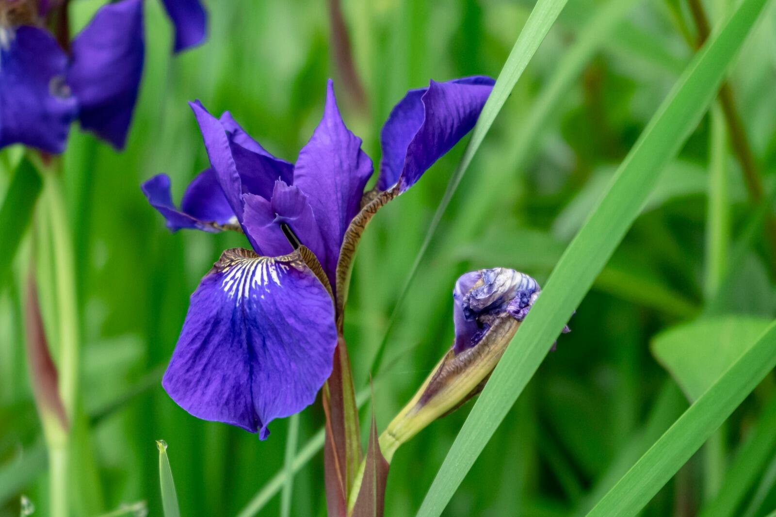 274 Front Street Richmond, ME 04357 - Photo 97 of 98 36b14478-5dd6-4c58-a0f9-a66cc4d691b1