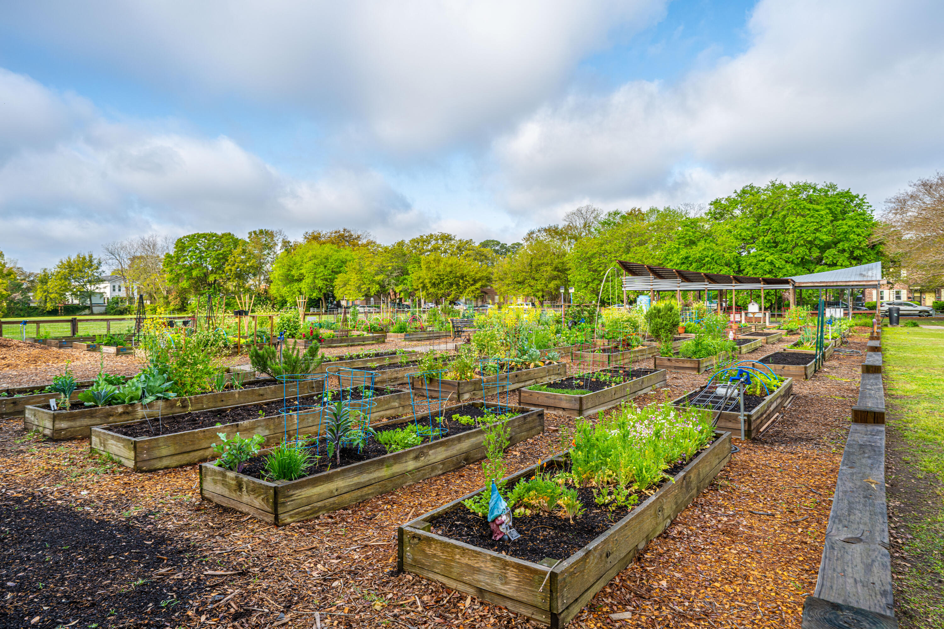 21 Hester Street, Unit 12 Charleston, SC 29403 - Photo 35 of 41 CorrineJonesPark001 (1)