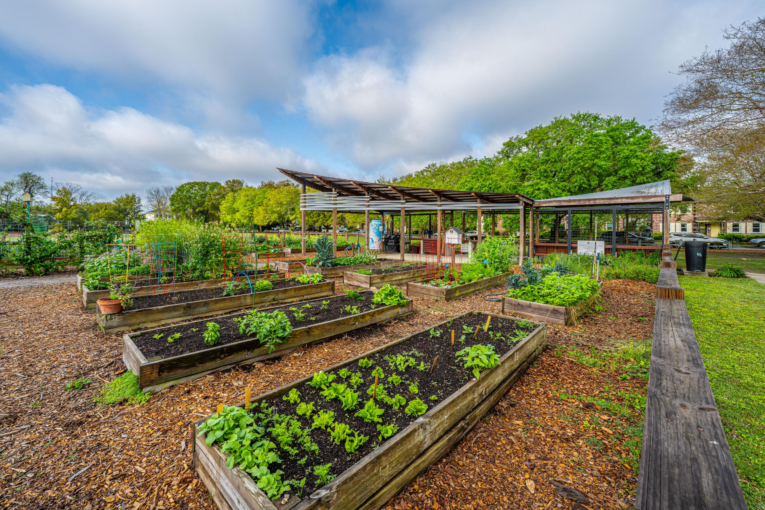 21 Hester Street, Unit 12 Charleston, SC 29403 - Photo 36 of 41 CorrineJonesPark002 (1)