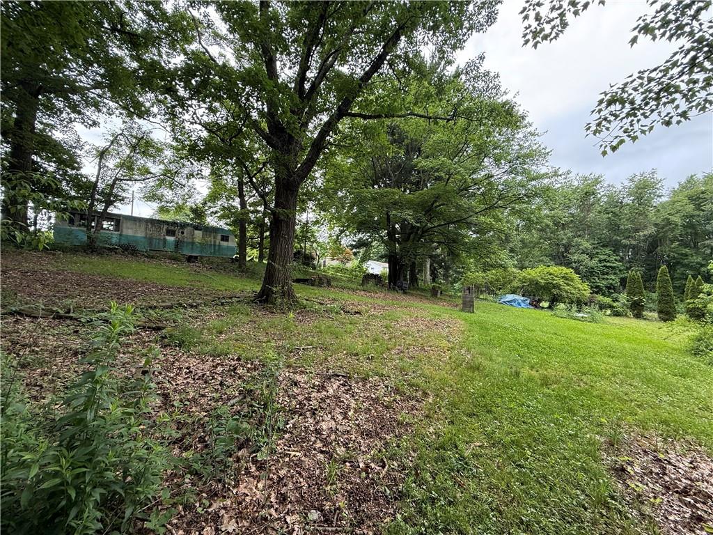 701 Chicora Road Chicora, PA 16025 - Photo 9 of 16 a view of outdoor space with trees all around