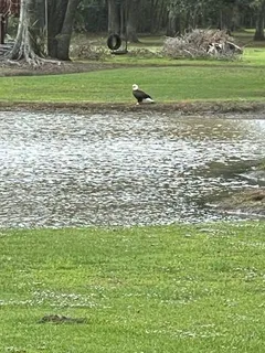 $749,000 | 11339 Willow Drive, New Orleans, LA 70131