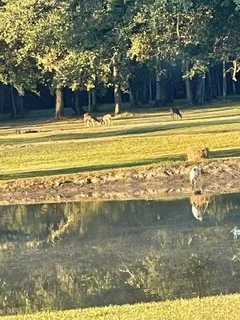 $749,000 | 11339 Willow Drive, New Orleans, LA 70131