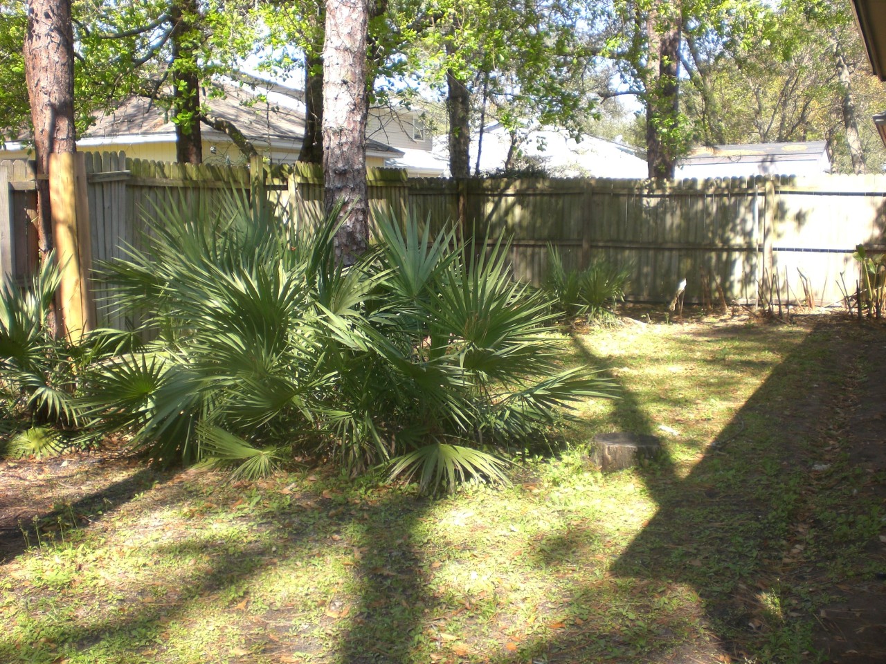 954 Stocks Street Atlantic Beach, FL 32233 - Photo 17 of 21 a view of yard