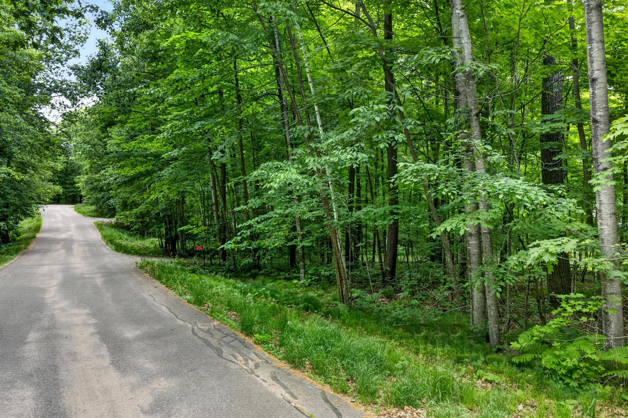 Tbd Ripley Spur Road Sarona, WI 54870 - Photo 6 of 28