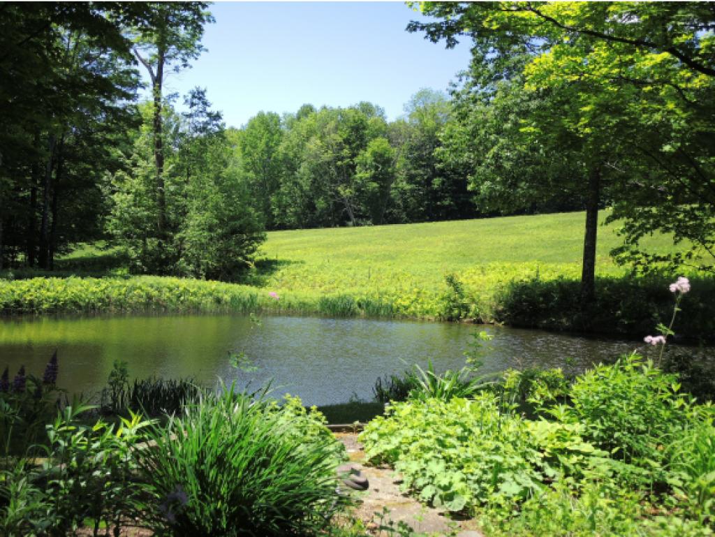 277 Spruce Knob Road Middletown Springs, VT 05757 - Photo 2 of 36 Gallery Image 2