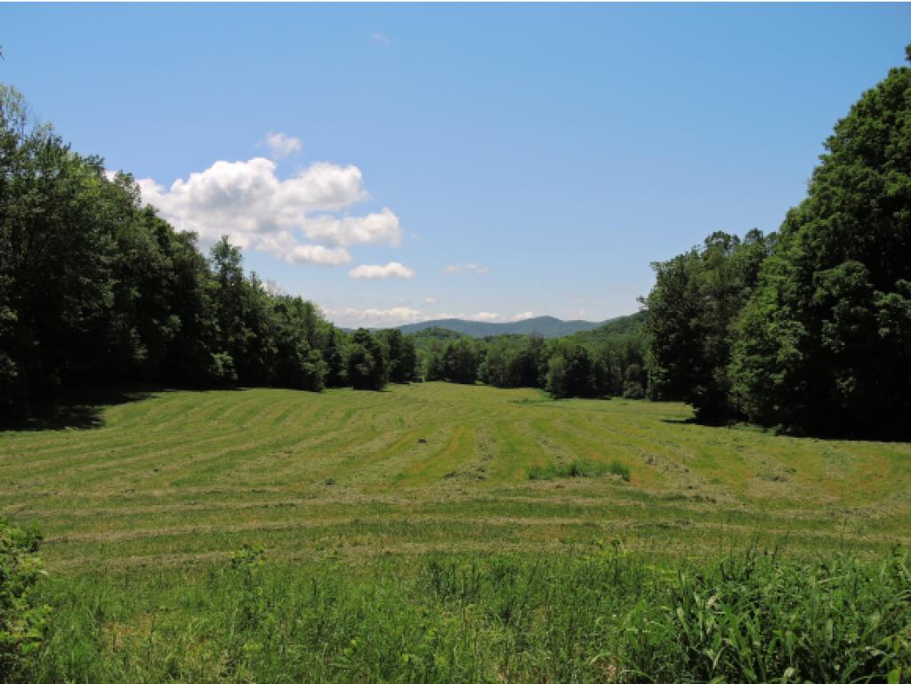 277 Spruce Knob Road Middletown Springs, VT 05757 - Photo 6 of 36 Gallery Image 6