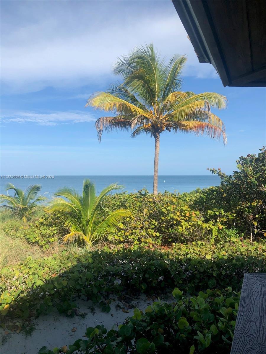 1111 Crandon Boulevard, Unit C402 Key Biscayne, FL 33149 - Photo 32 of 32 a view of a backyard