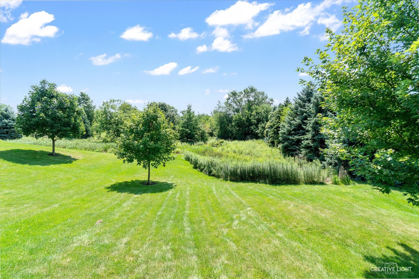 19 Lily Court Bolingbrook, IL 60440 - Photo 26 of 31 a view of an outdoor space with a garden