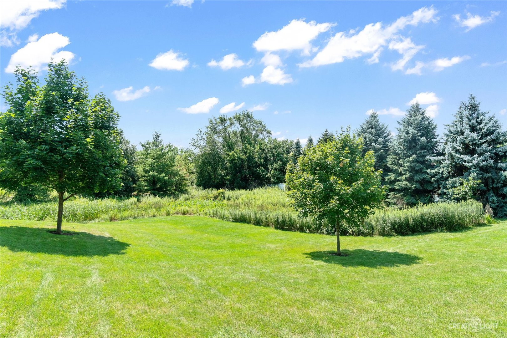 19 Lily Court Bolingbrook, IL 60440 - Photo 27 of 31 a view of an outdoor space and yard