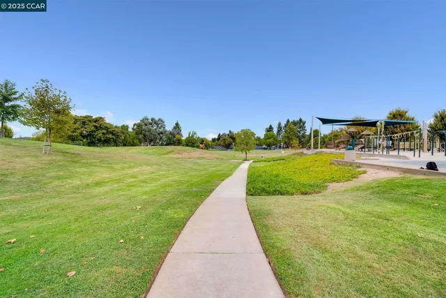 a view of a garden with a building in the background