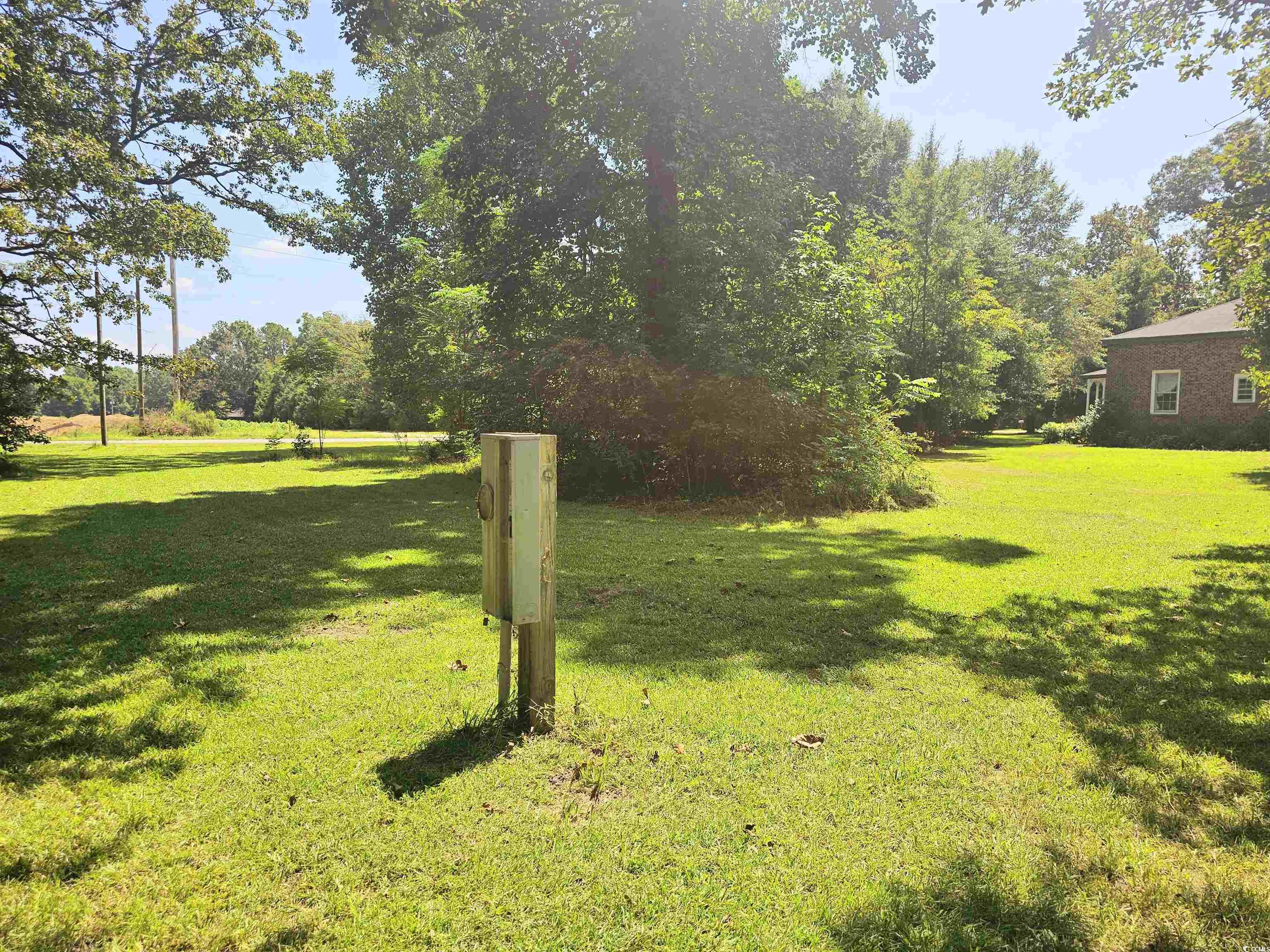 1356 Flinns Road Hartsville, SC 29550 - Photo 33 of 38 View of yard
