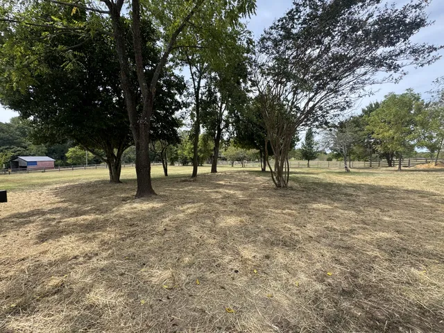 a view of open space with lots of trees