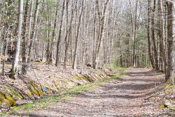 $49,000 | Undisclosed Address, Andes, NY 13731
