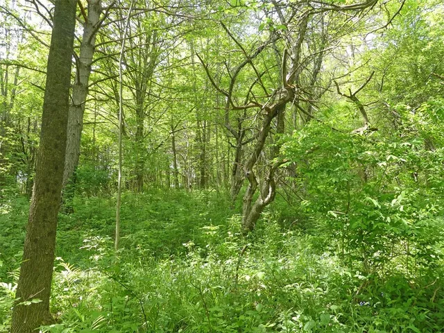 $49,000 | Undisclosed Address, Andes, NY 13731