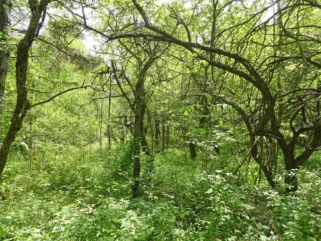 $49,000 | Undisclosed Address, Andes, NY 13731