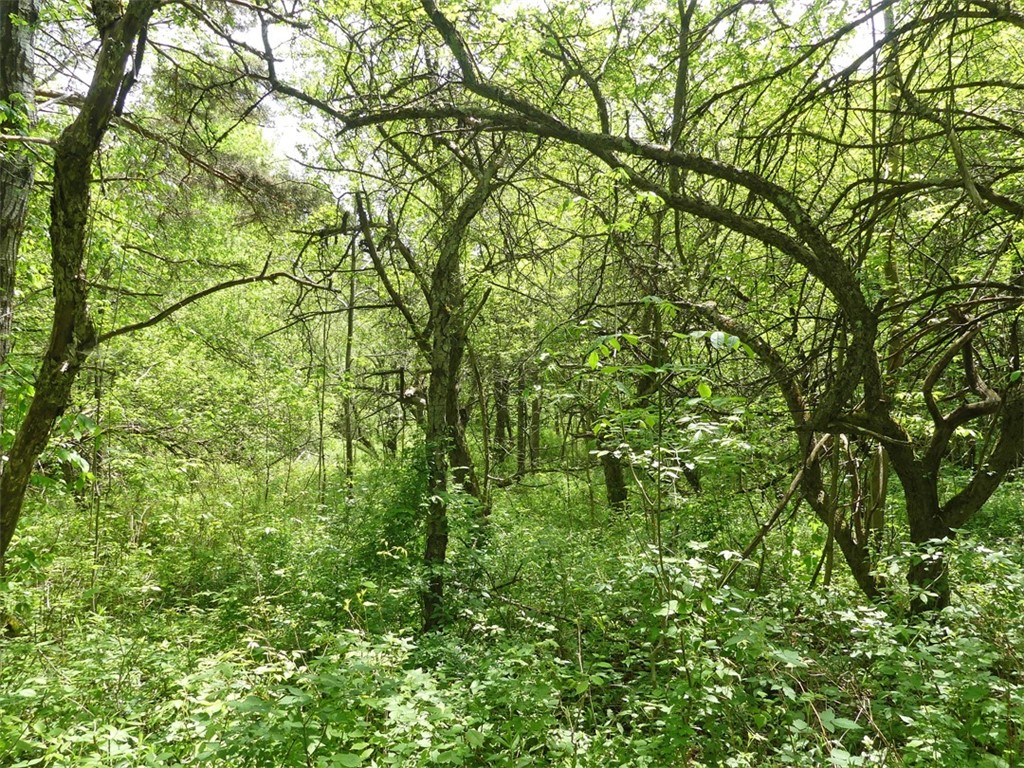 Undisclosed Address Andes, NY 13731 - Photo 13 of 16