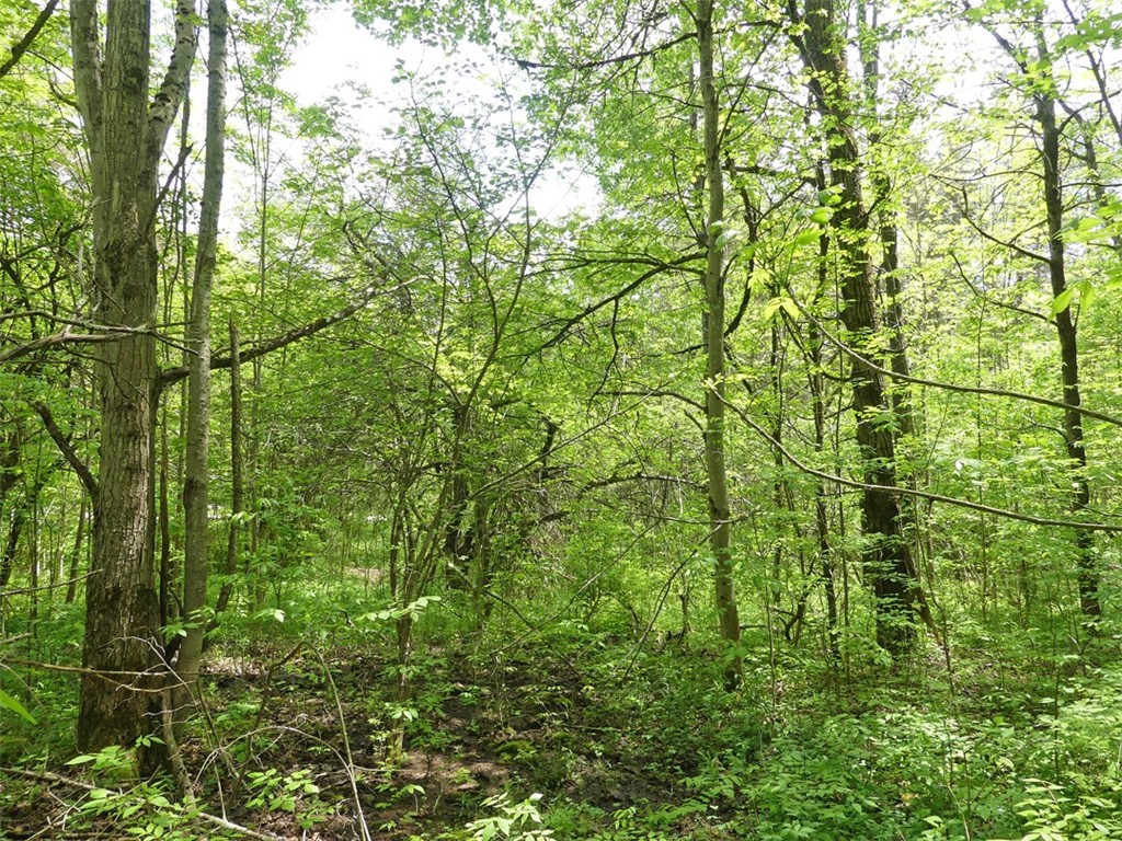 Undisclosed Address Andes, NY 13731 - Photo 14 of 16