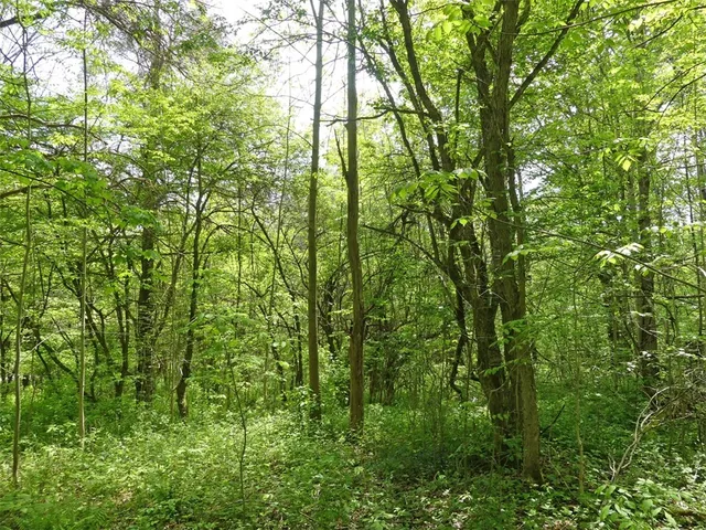 $49,000 | Undisclosed Address, Andes, NY 13731