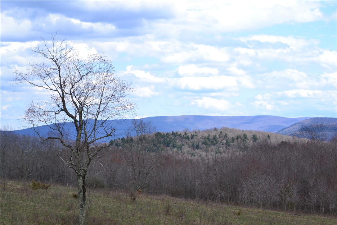 Undisclosed Address Andes, NY 13731 - Photo 16 of 16