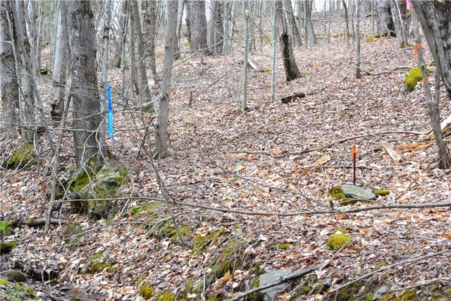 $49,000 | Undisclosed Address, Andes, NY 13731