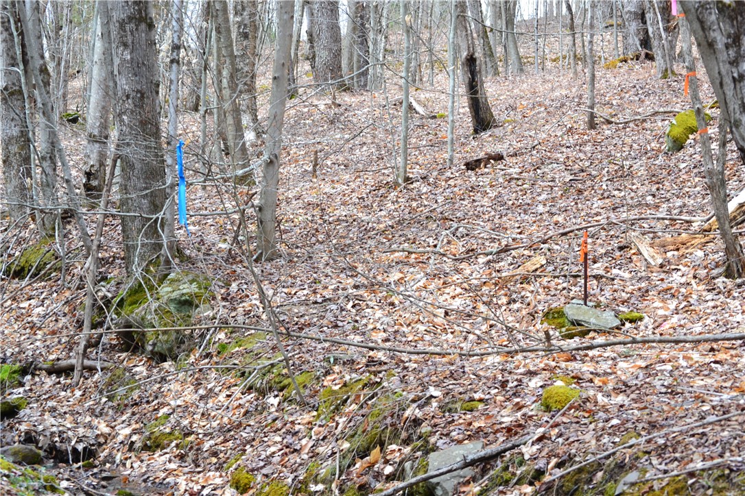 Undisclosed Address Andes, NY 13731 - Photo 2 of 16