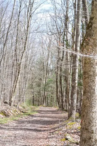 $49,000 | Undisclosed Address, Andes, NY 13731