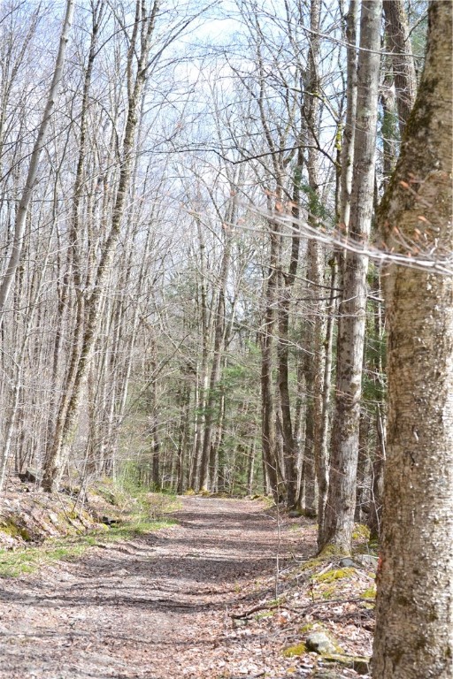 Undisclosed Address Andes, NY 13731 - Photo 3 of 16