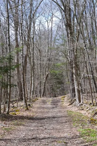 $49,000 | Undisclosed Address, Andes, NY 13731