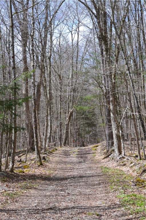 Undisclosed Address Andes, NY 13731 - Photo 4 of 16