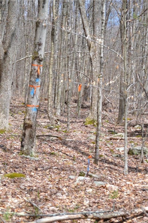 Undisclosed Address Andes, NY 13731 - Photo 5 of 16