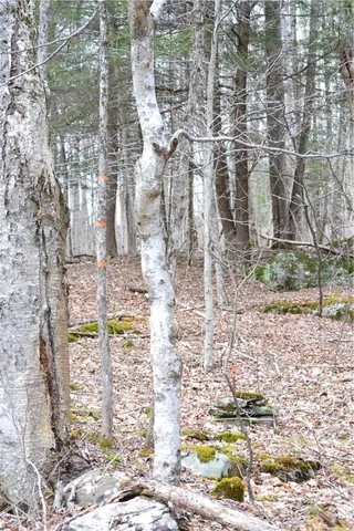 $49,000 | Undisclosed Address, Andes, NY 13731