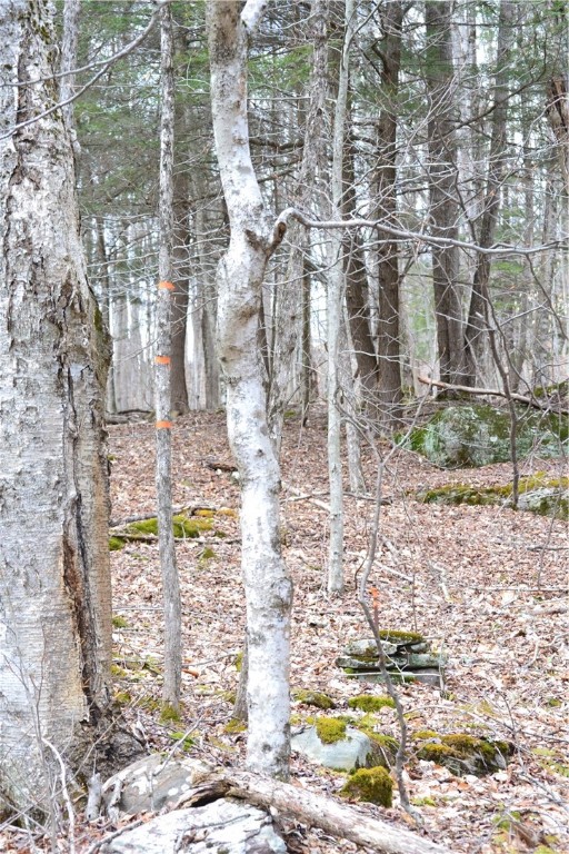 Undisclosed Address Andes, NY 13731 - Photo 6 of 16