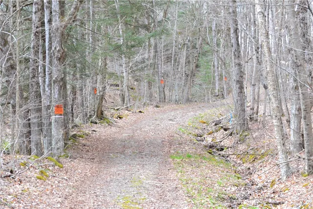 $49,000 | Undisclosed Address, Andes, NY 13731