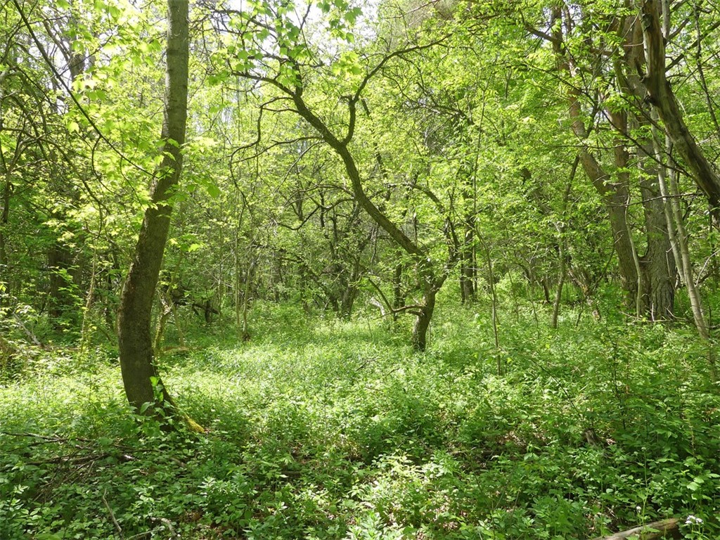 Undisclosed Address Andes, NY 13731 - Photo 8 of 16