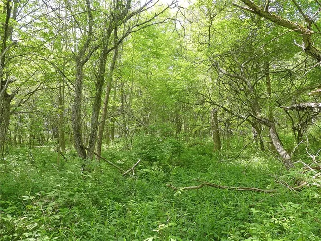 $49,000 | Undisclosed Address, Andes, NY 13731