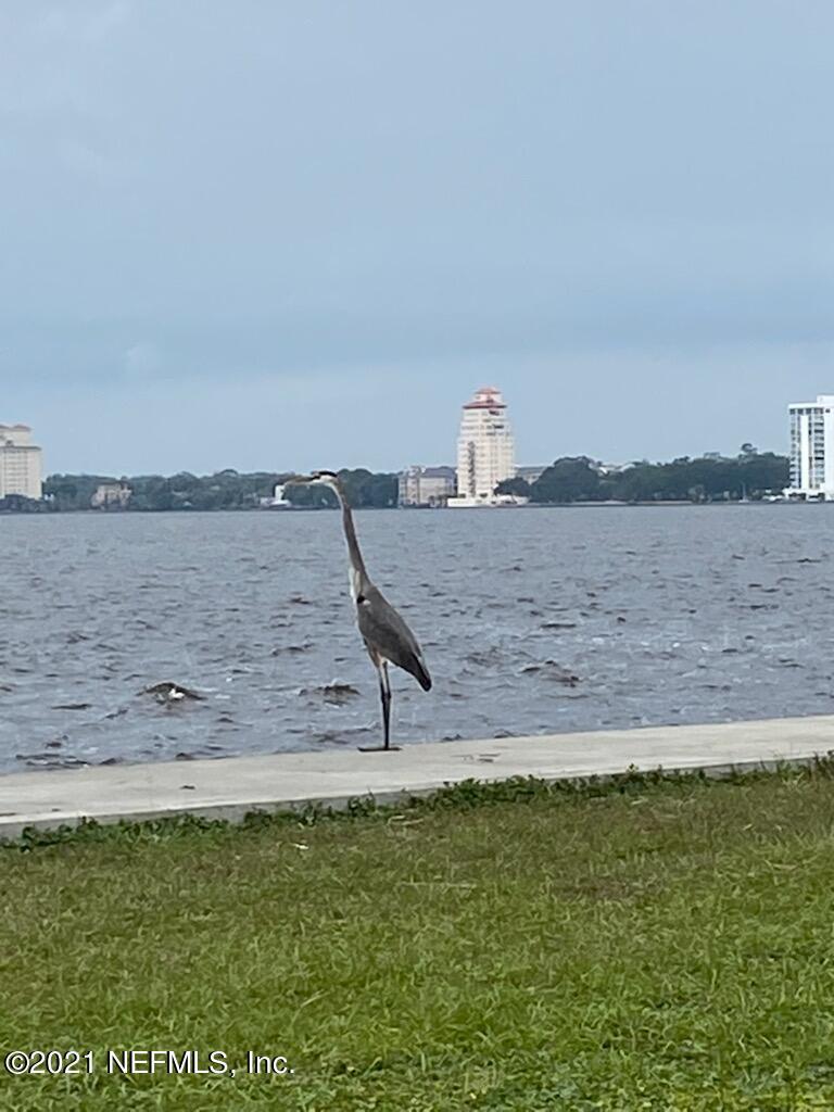 1781 River Road, Unit 4 Jacksonville, FL 32207 - Photo 21 of 24 a view of ocean view with beach