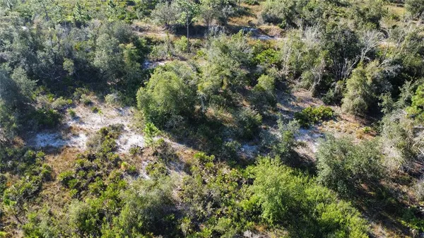 a view of a lush green forest with houses