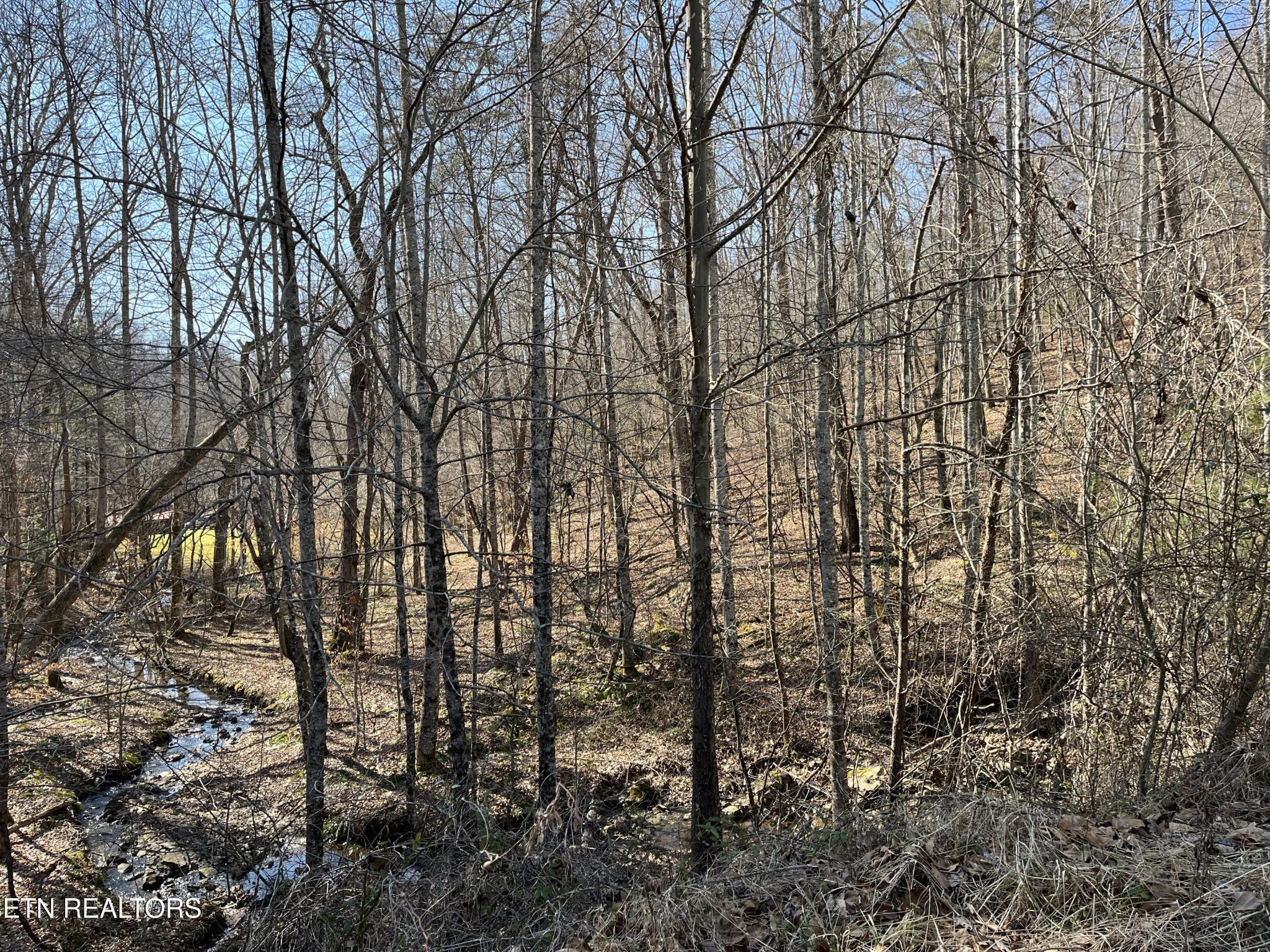 16245 Mill Creek Road Sunbright, TN 37872 - Photo 13 of 37