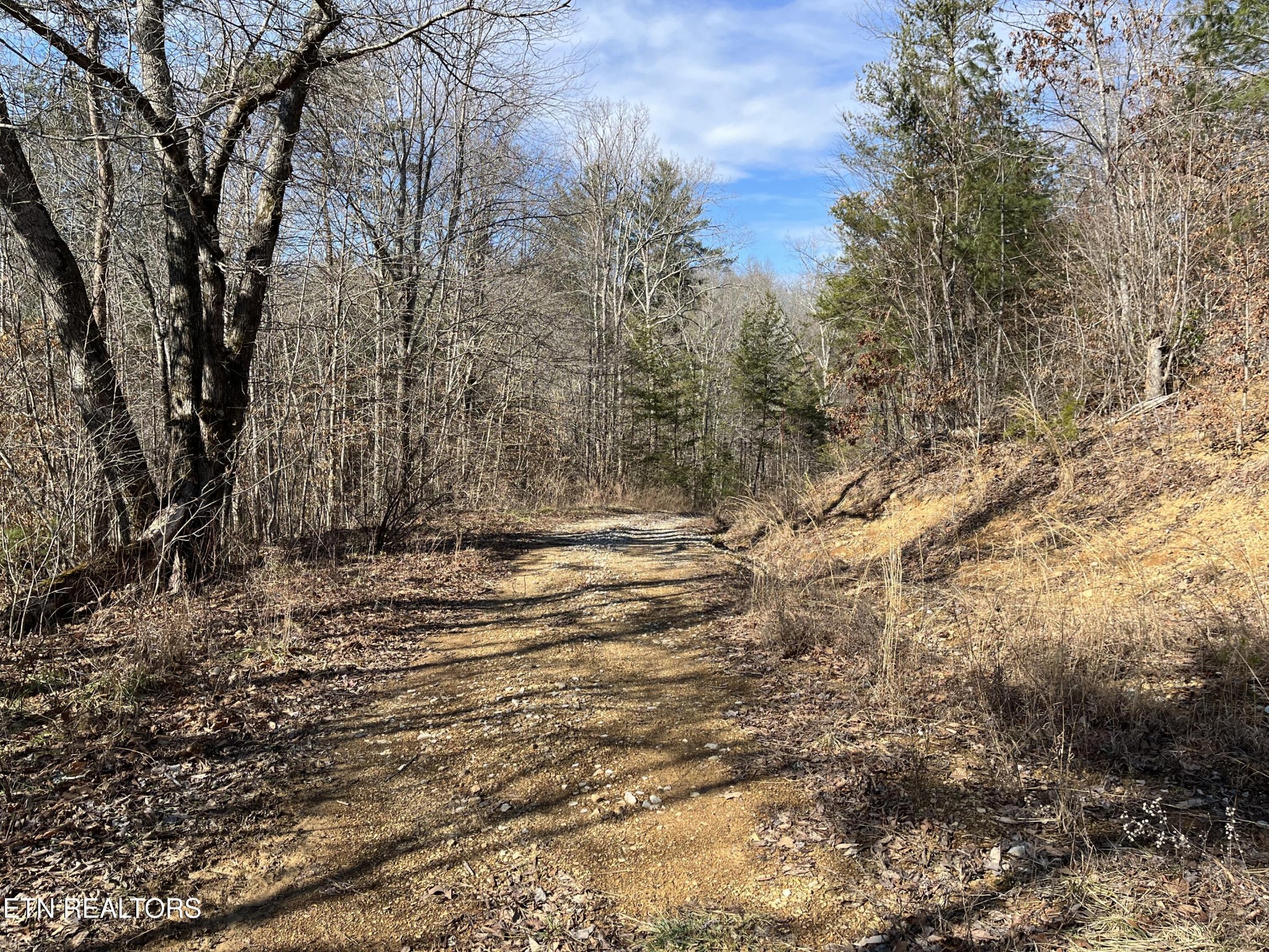 16245 Mill Creek Road Sunbright, TN 37872 - Photo 14 of 37