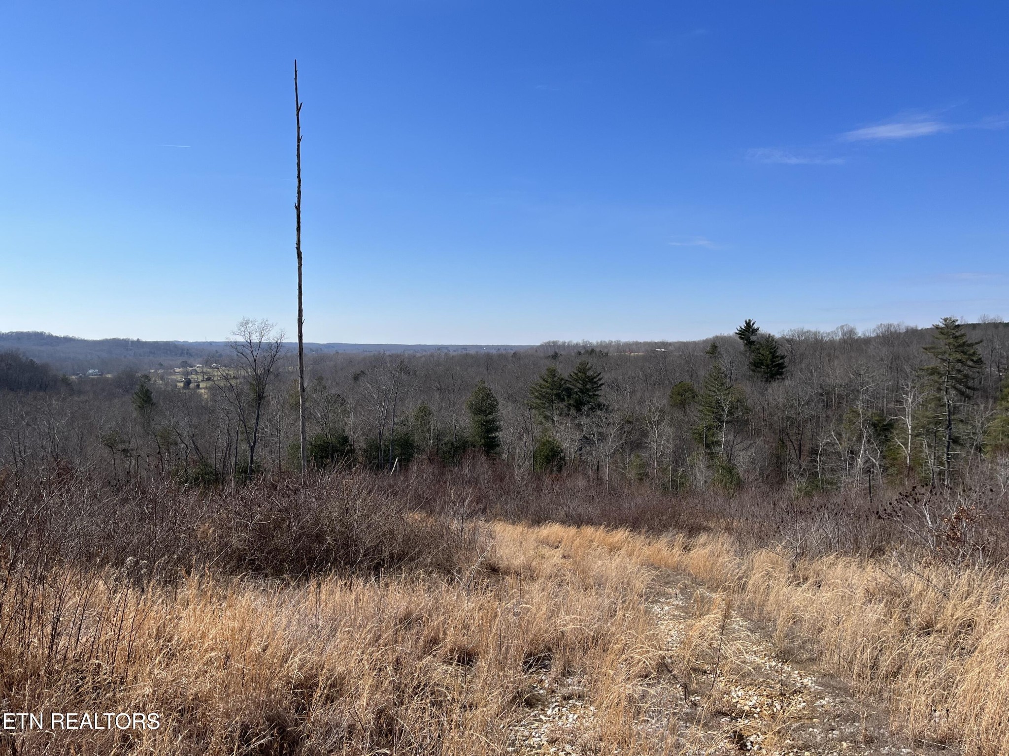 16245 Mill Creek Road Sunbright, TN 37872 - Photo 16 of 37
