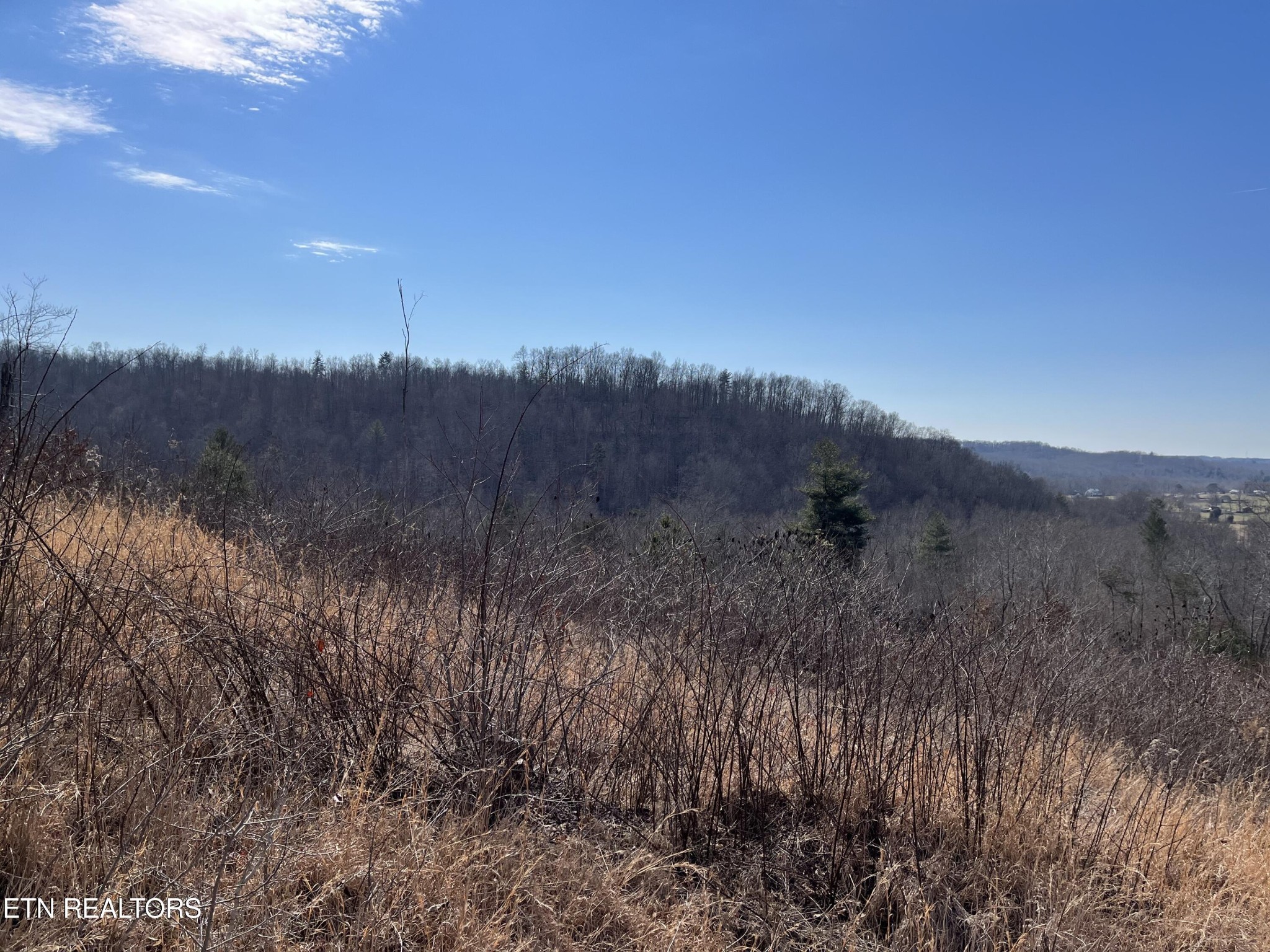 16245 Mill Creek Road Sunbright, TN 37872 - Photo 17 of 37