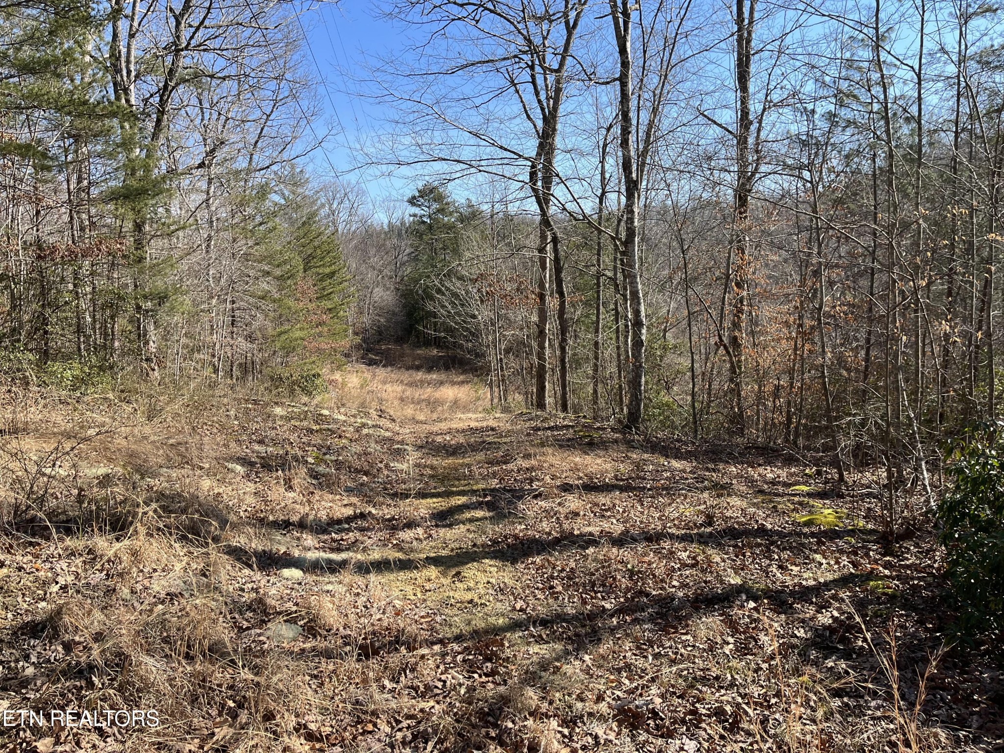 16245 Mill Creek Road Sunbright, TN 37872 - Photo 20 of 37