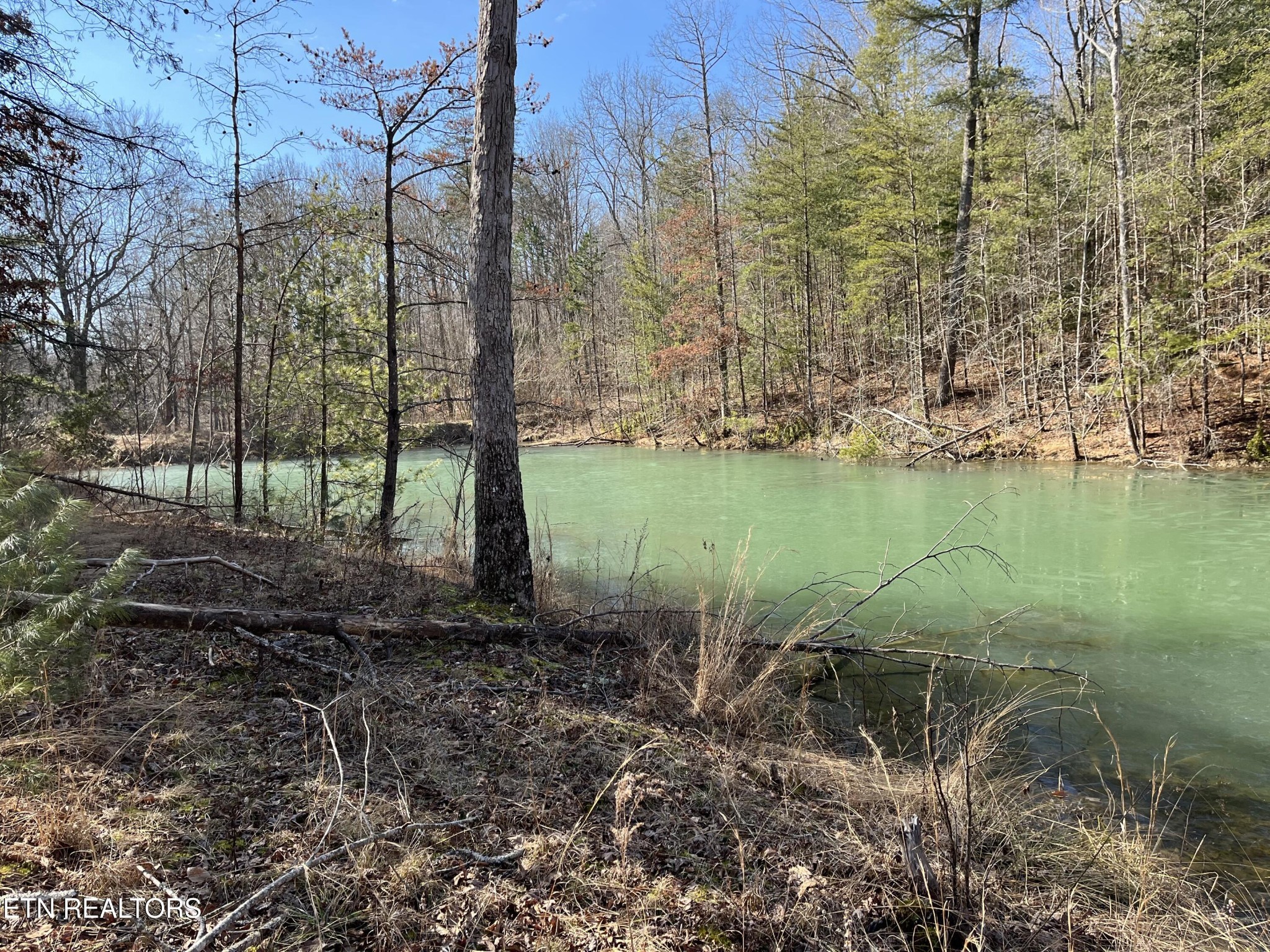 16245 Mill Creek Road Sunbright, TN 37872 - Photo 2 of 37