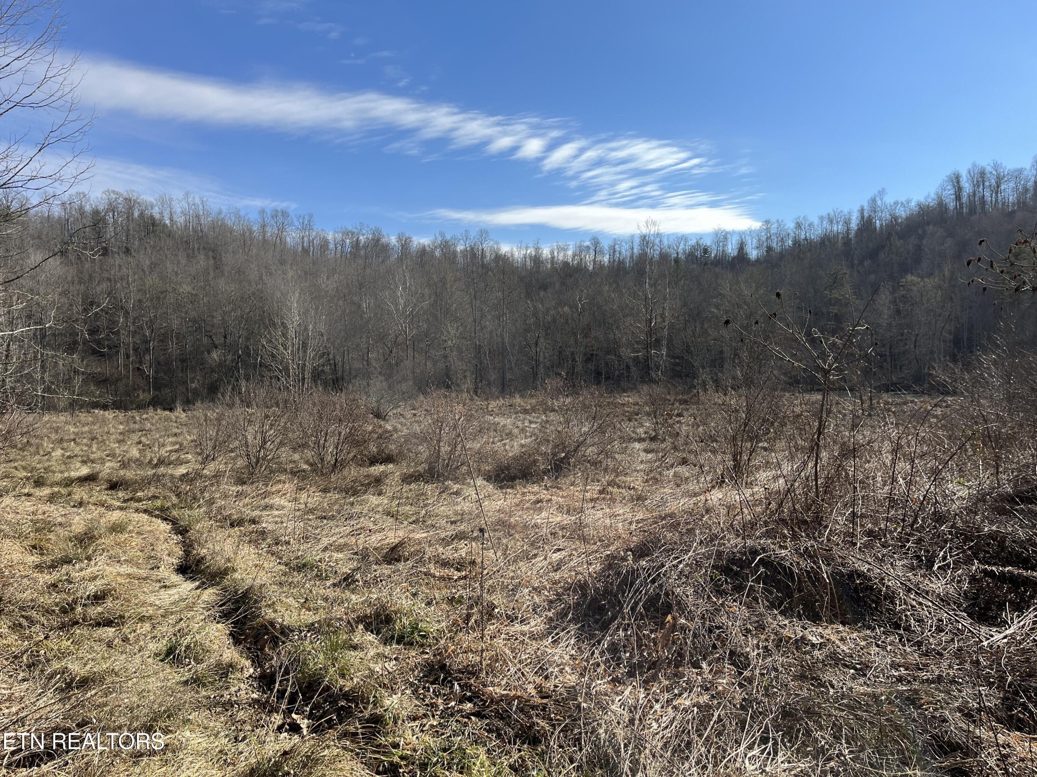 16245 Mill Creek Road Sunbright, TN 37872 - Photo 22 of 37