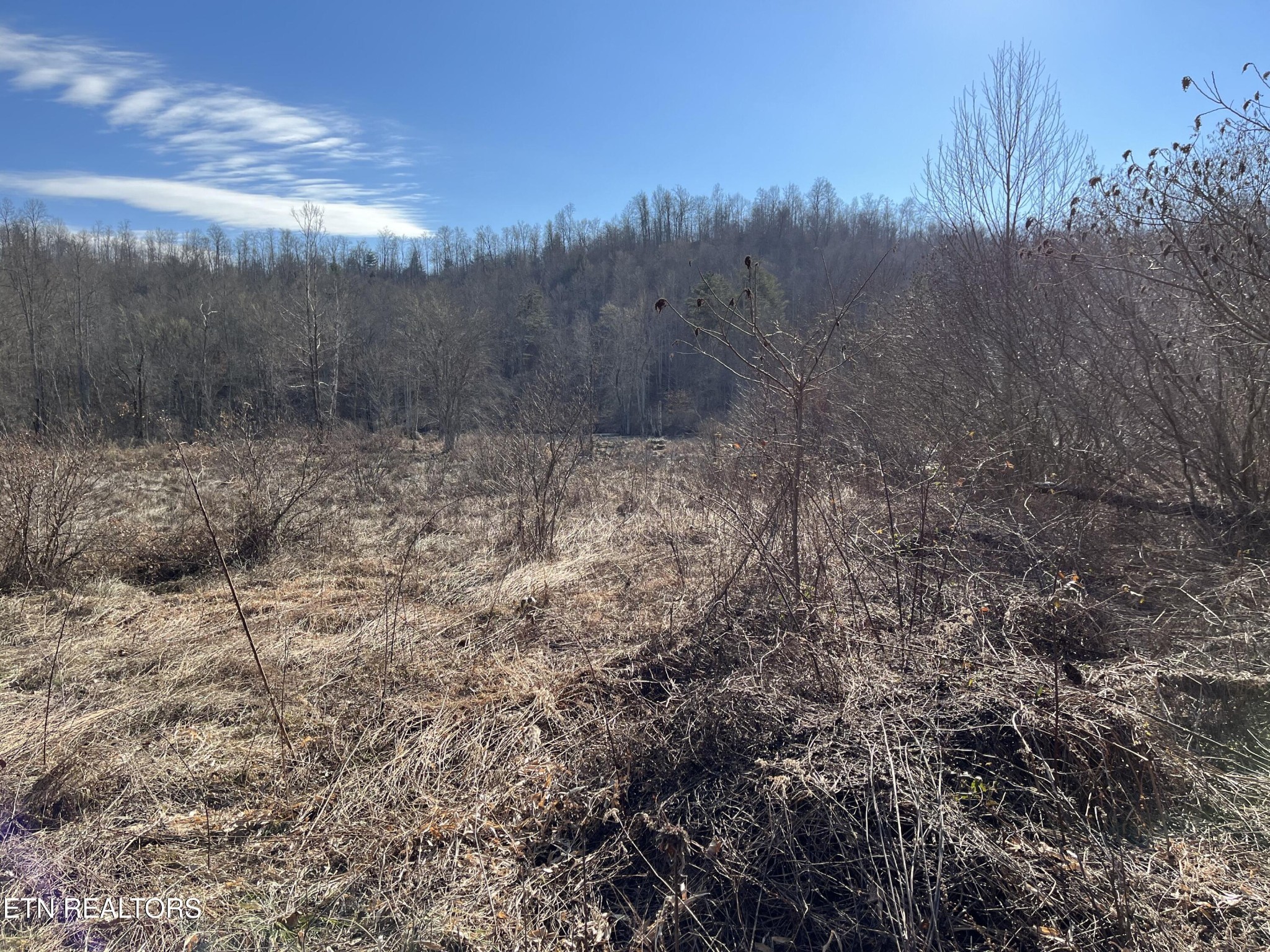 16245 Mill Creek Road Sunbright, TN 37872 - Photo 23 of 37