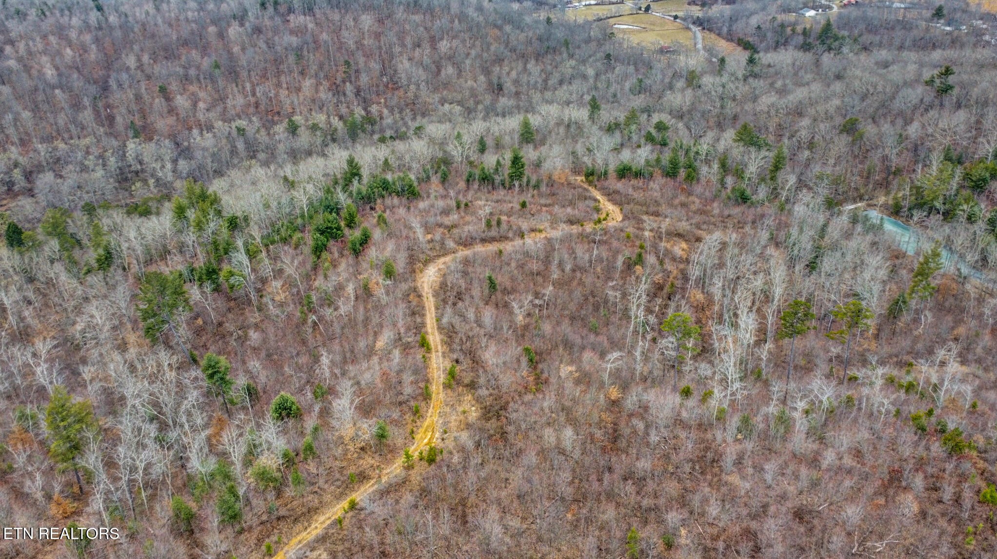 16245 Mill Creek Road Sunbright, TN 37872 - Photo 34 of 37