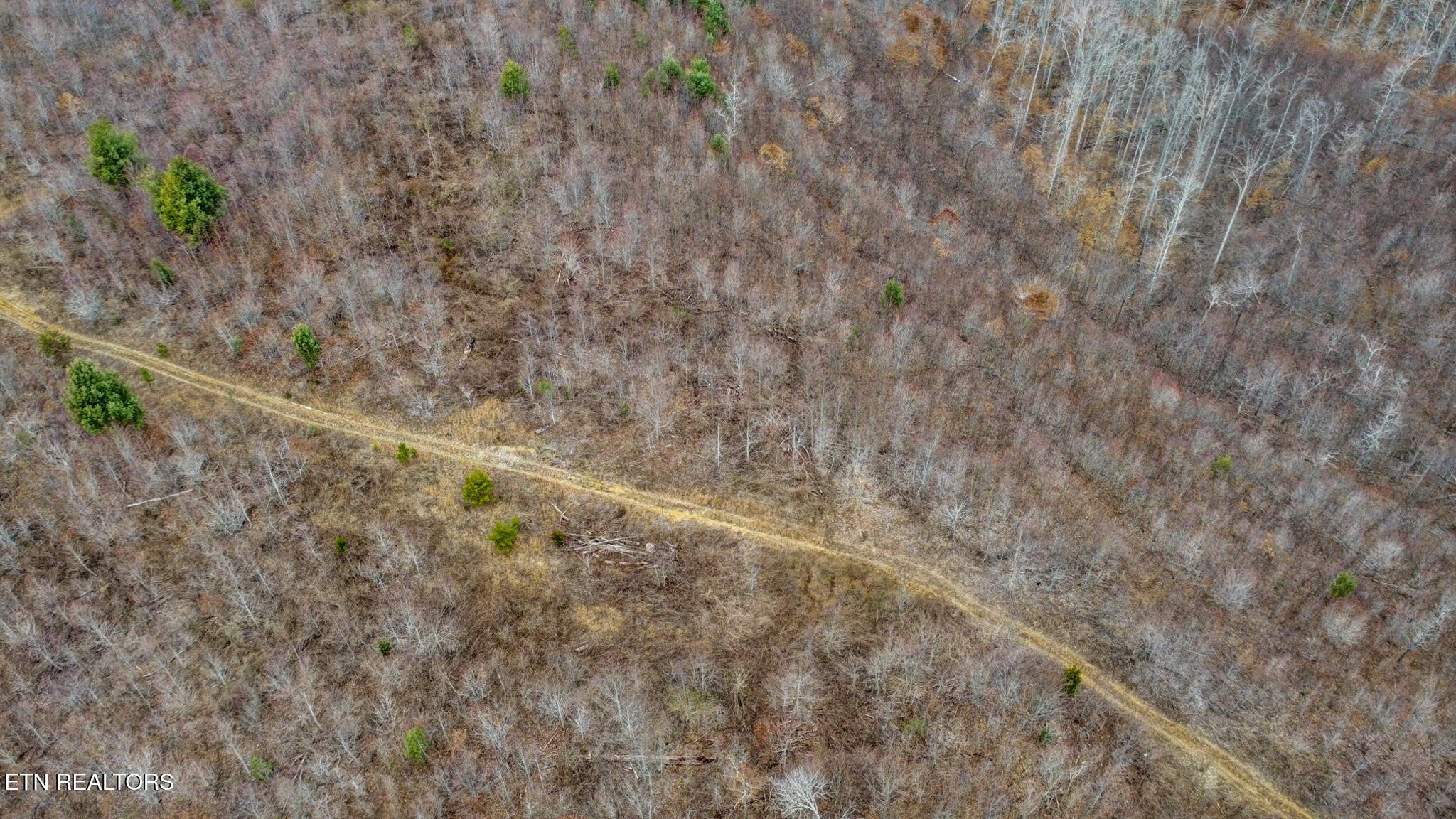 16245 Mill Creek Road Sunbright, TN 37872 - Photo 35 of 37