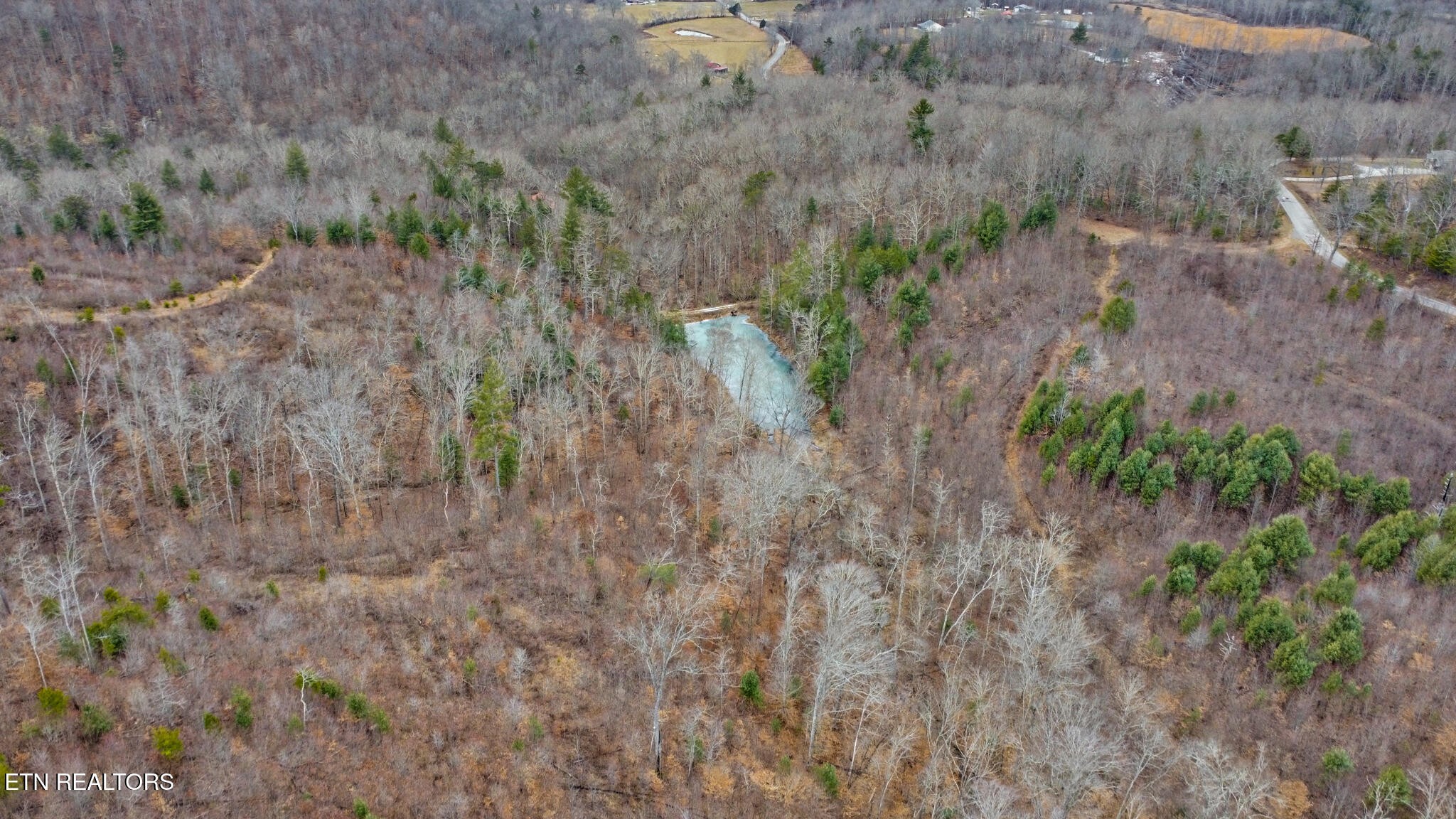 16245 Mill Creek Road Sunbright, TN 37872 - Photo 37 of 37